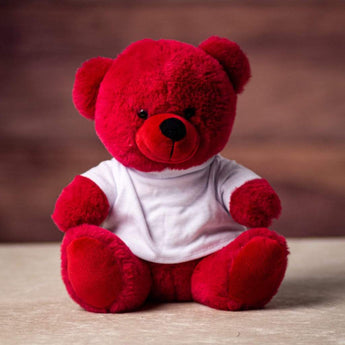 A sitting, bear wearing a blank white t-shirt