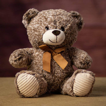 A two-toned fur bear with stripped textured paws