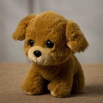 A brown sitting puppy