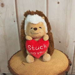 10 inch Valentines hedgehog holding a stuffed heart that says, "Stuck on you."