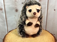 10" Bella Hedgehog