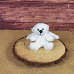 6" Angel Colorama Bear