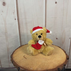 Small beige stuffed bear wearing a red Santa hat and holding a red stocking