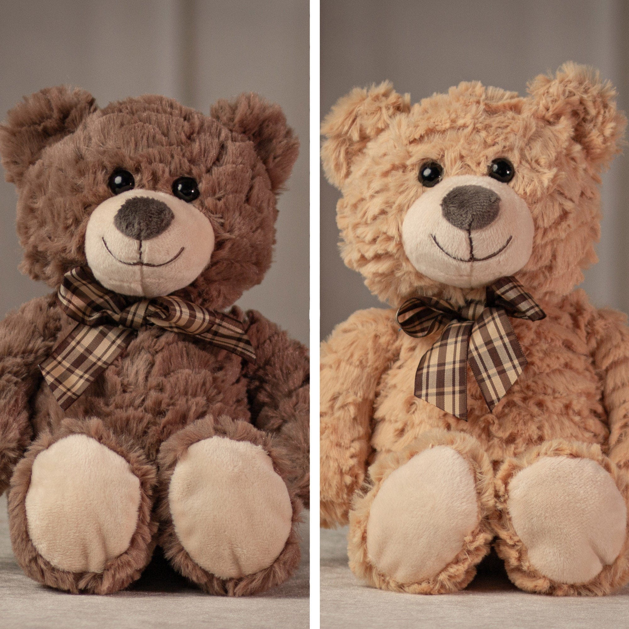 13" Cuddle Bear Twins