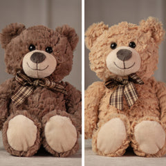 13" Cuddle Bear Twins