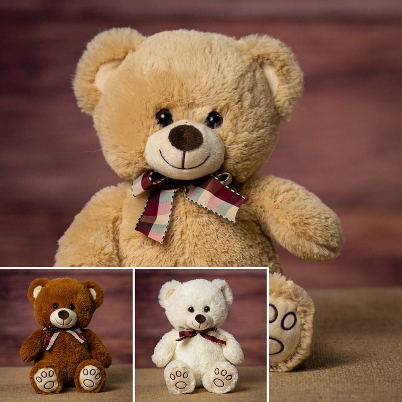 Wholesale Teddy Bears - Paw Print Teddy Quartet | Plush in a Rush