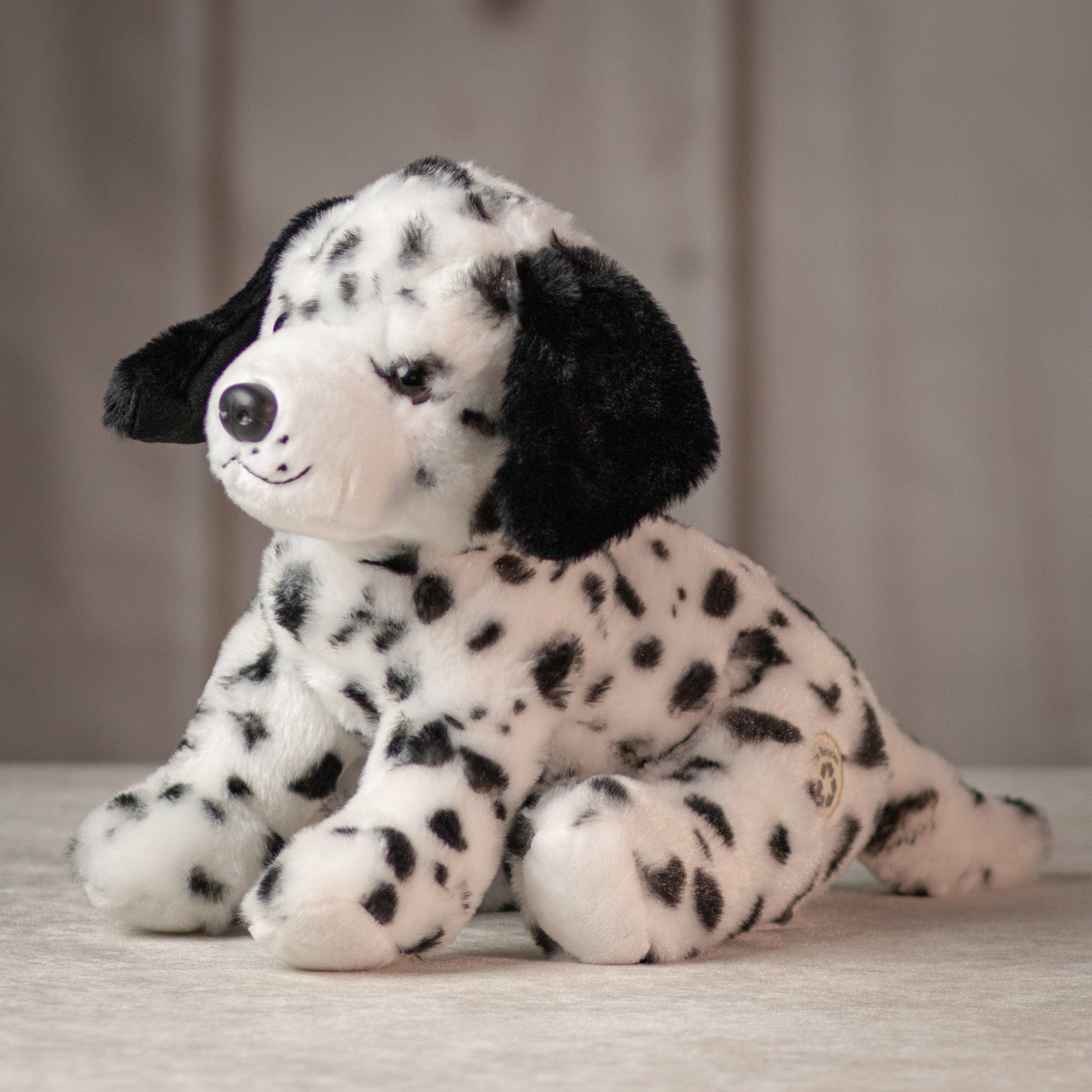 12" Dalmatian