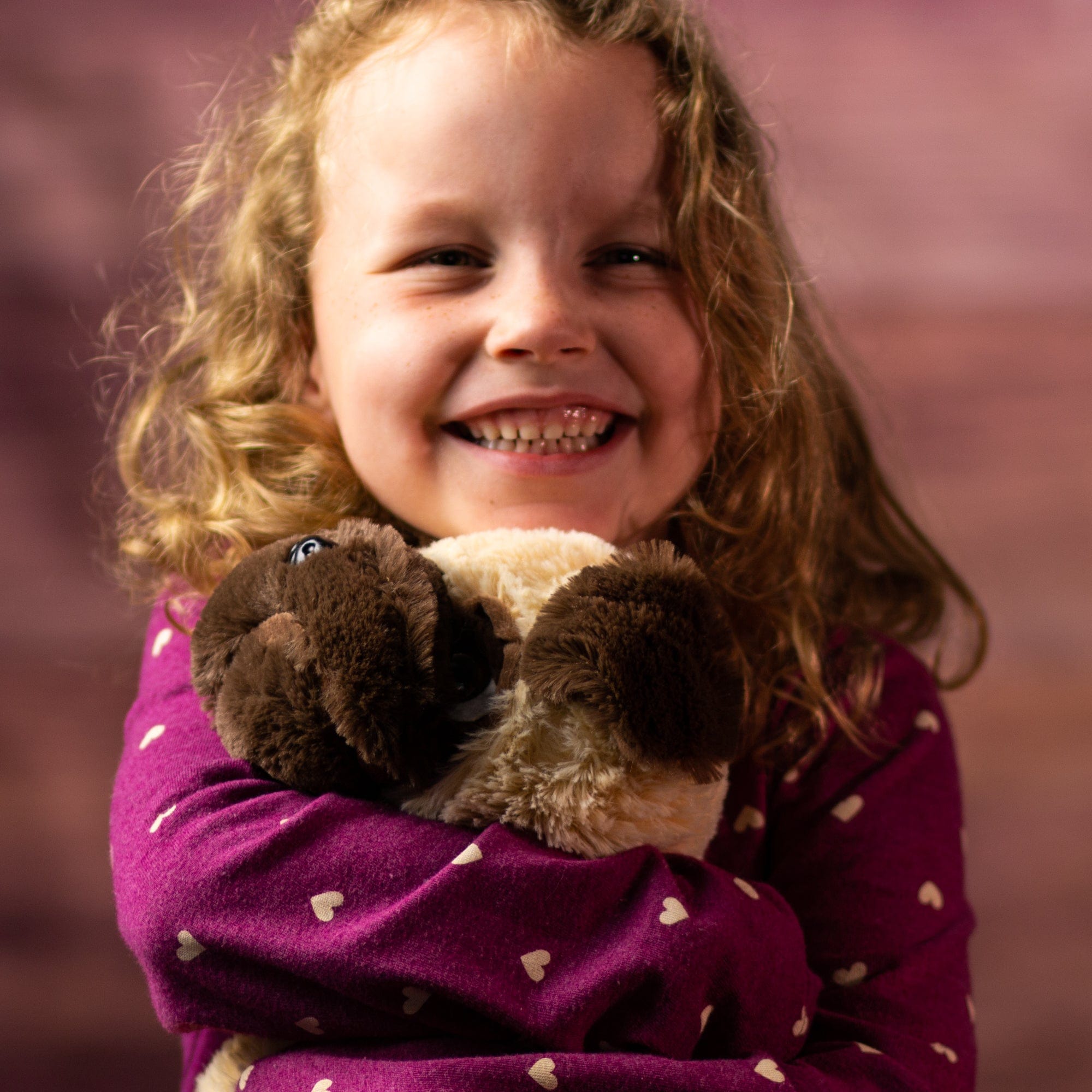 A girl holding a brown pug that is 11 inches tall while sitting