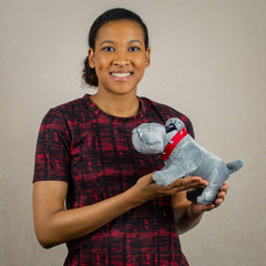 A woman holds a grey bulldog that is 10 inches from head to tail