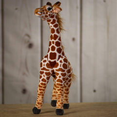 Front view of a spotted giraffe that is 22 inches tall while standing