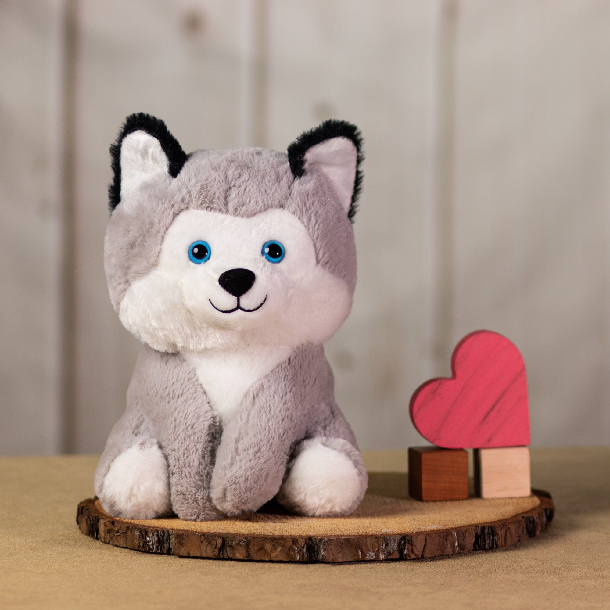 An oversized, white and gray husky that is 11 inches tall while sitting next to wooden blocks