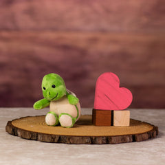 A green turtle that is 5 inches tall while sitting next to wooden blocks