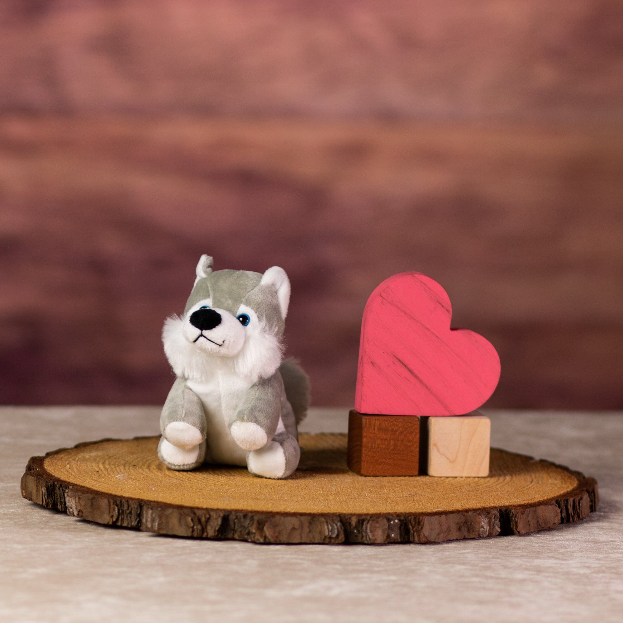 A gray husky that is 5 inches tall while sitting with blue eyes next to wooden blocks