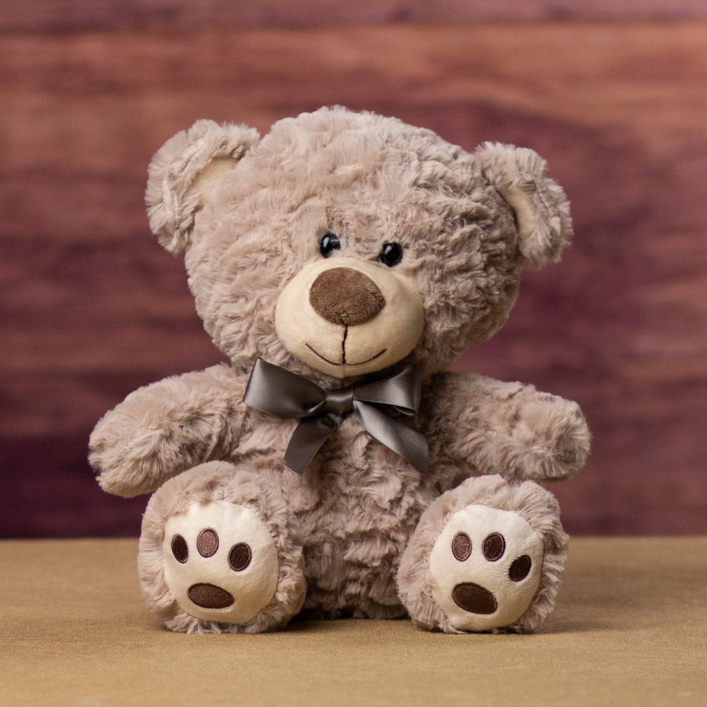 Warm teddy clearance bear