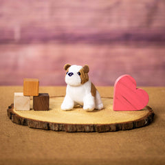 A bulldog that is 5 inches tall while sitting on top of a piece of wood