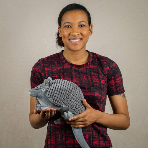 A woman holds a grey armadillo that is 12 inches from head to tail