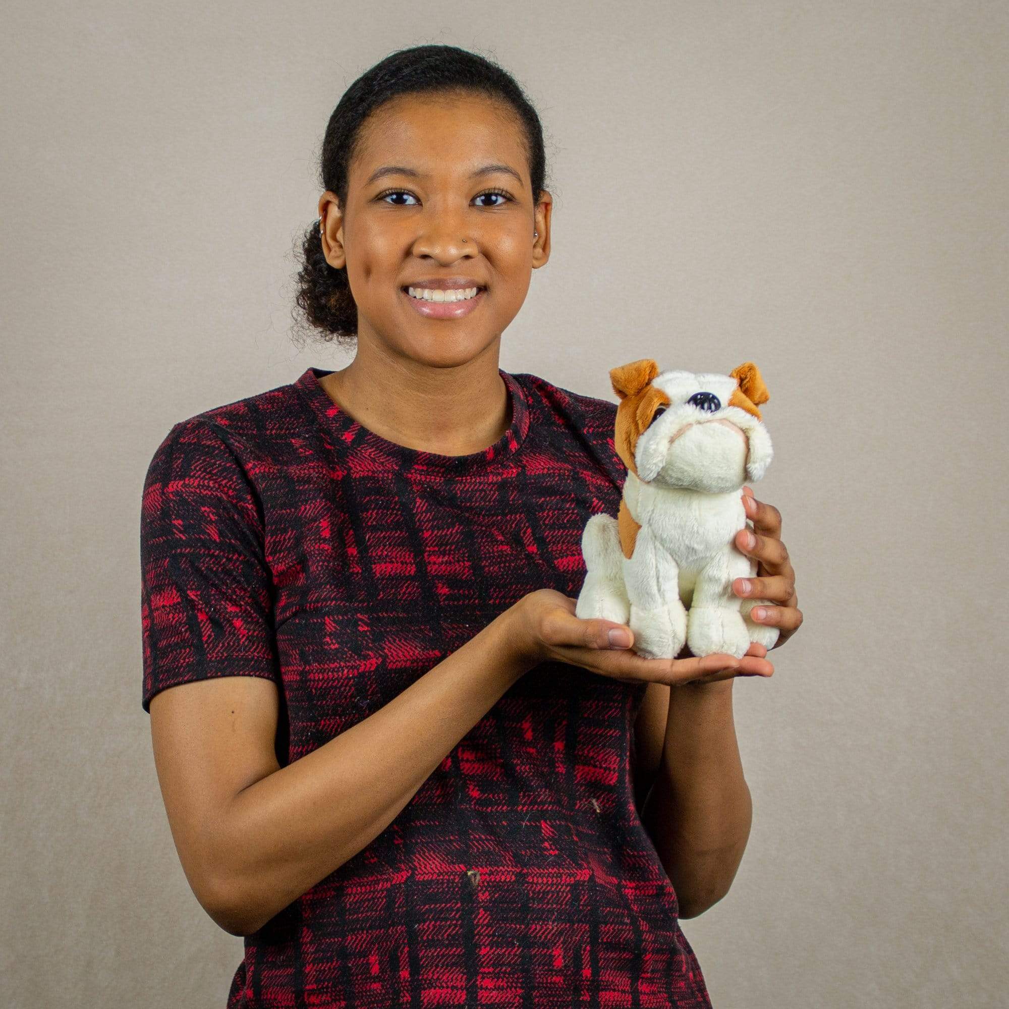 A woman holds a bulldog that is 7 inches tall while sitting