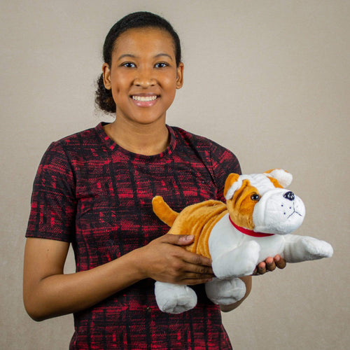 A woman holds a bulldog that is 14 inches from head to tail