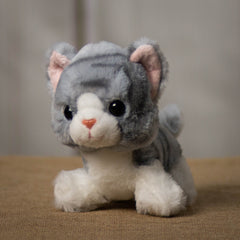 A gray tabby cat that is 7 inches tall while sitting