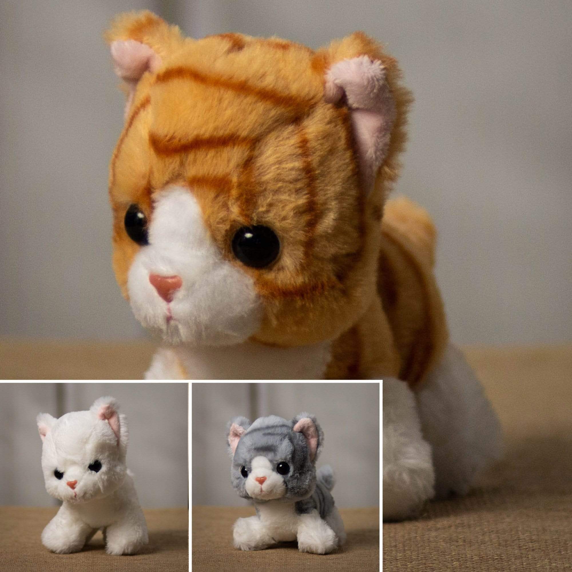 A orange, gray, and white tabby cat that are 7 inches tall while sitting