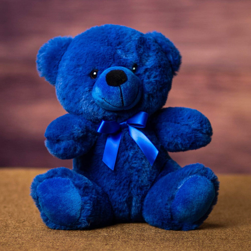 teddy bear in blue color