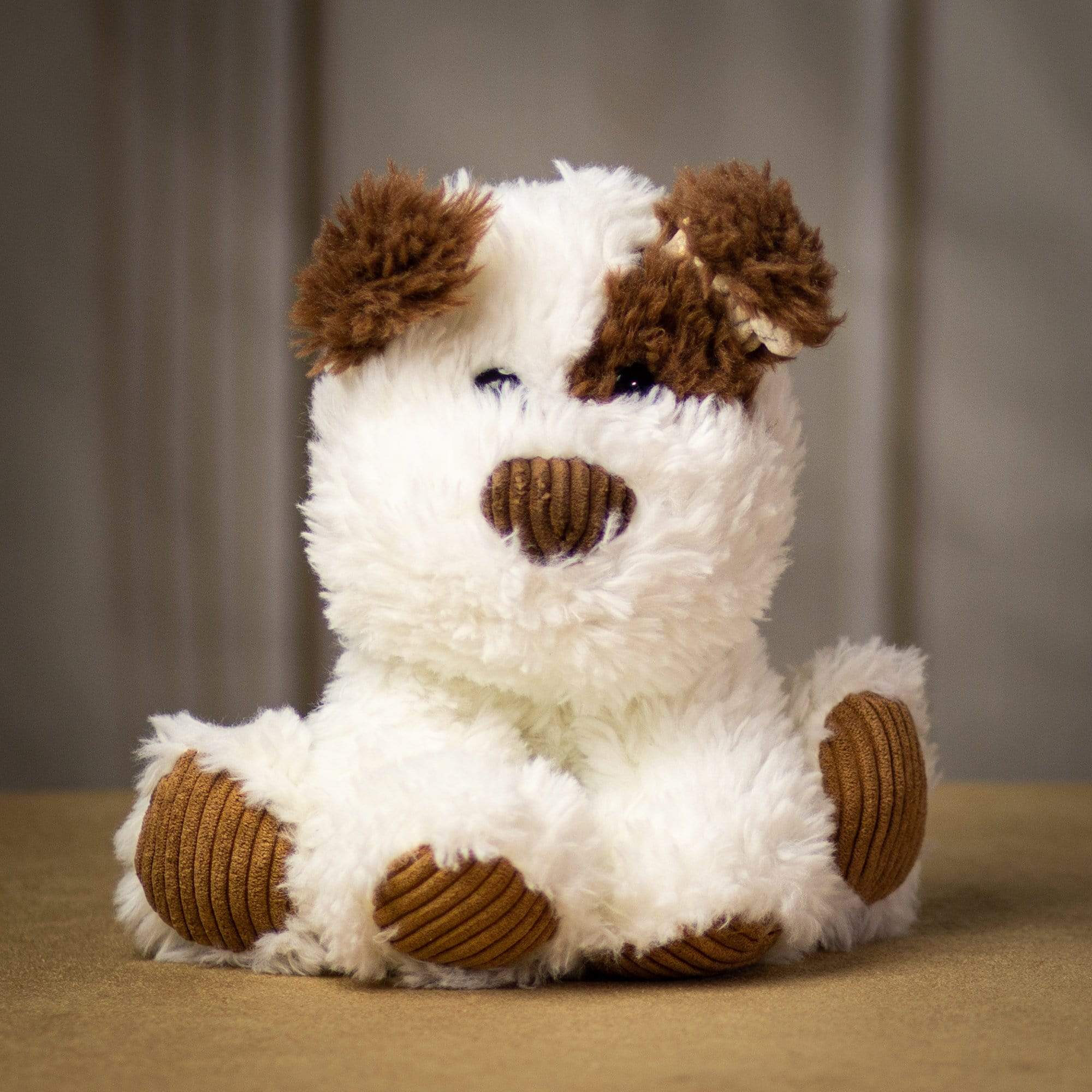 A scruffy brown and white dog that is 9.5 inches tall while sitting