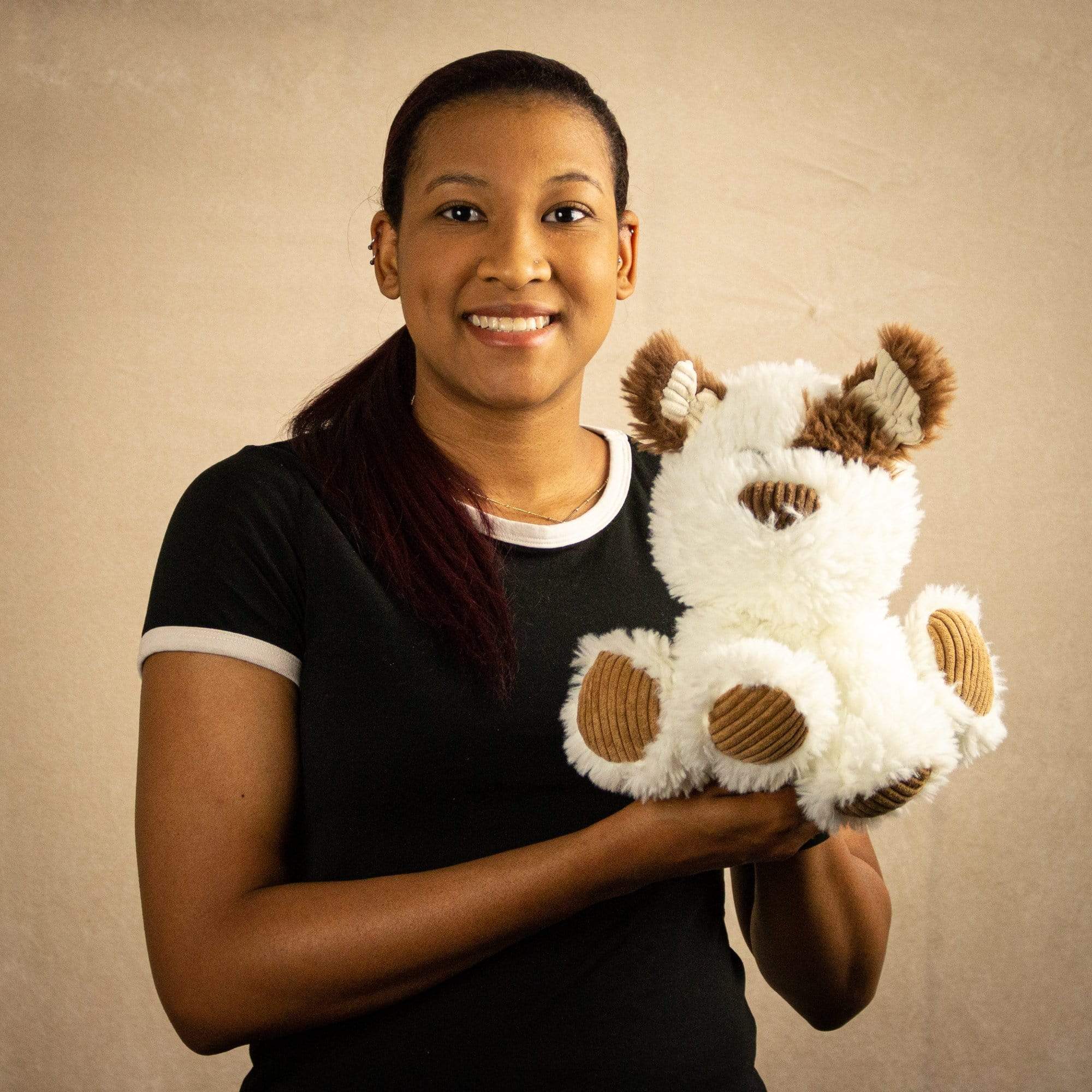 A woman holds a scruffy brown and white dog that is 9.5 inches tall while sitting