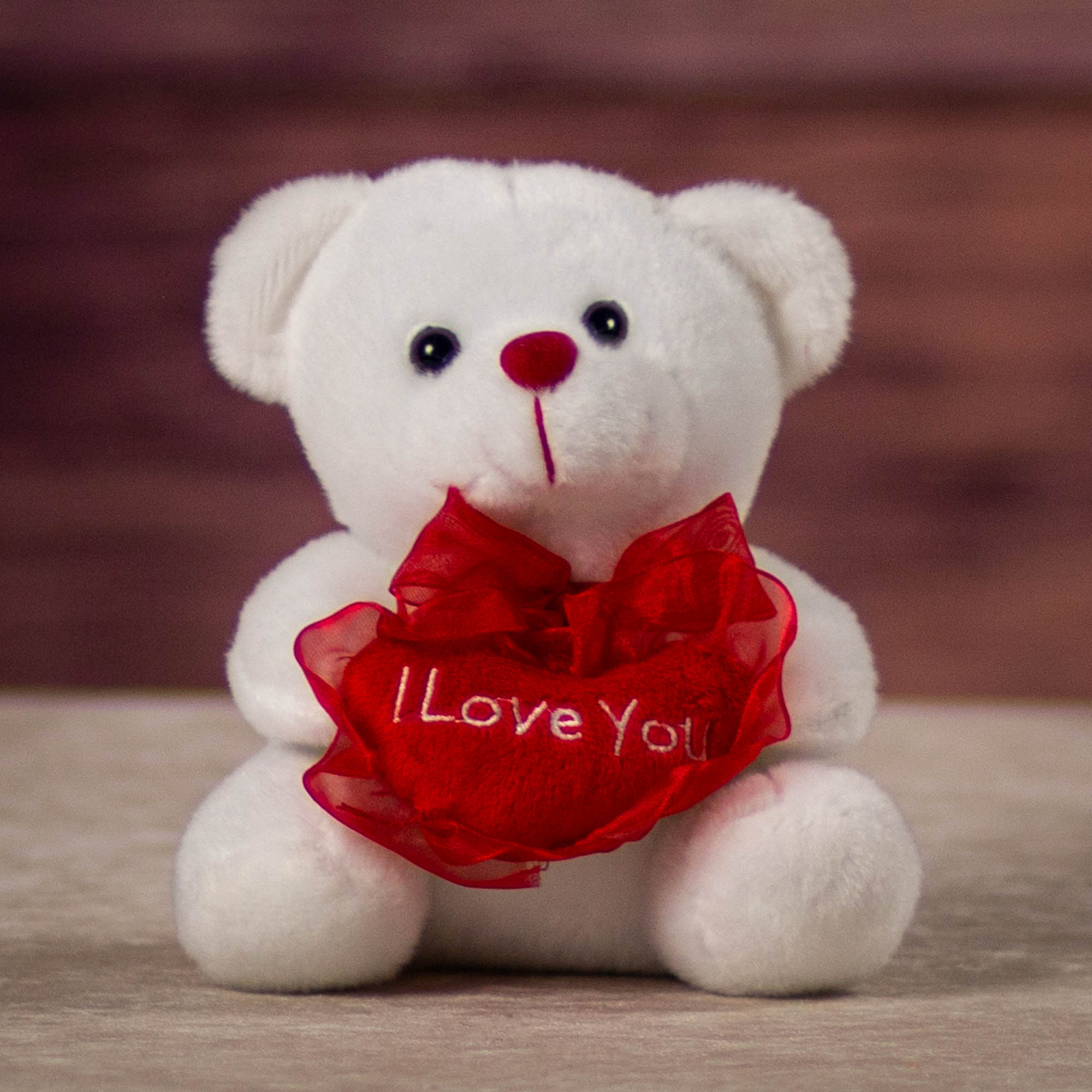 teddy bear i love you