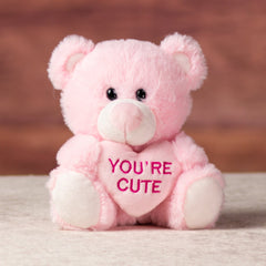 5.5 in stuffed pink conversation heart bears