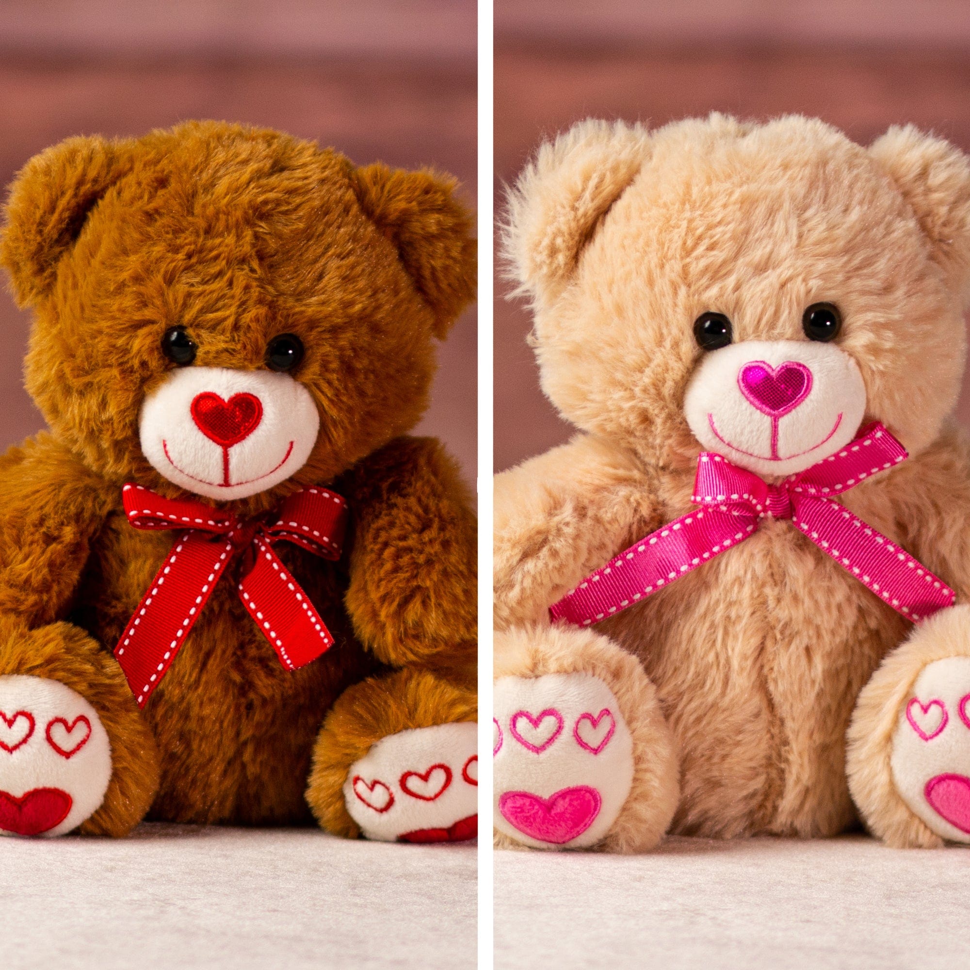 Small valentine teddy best sale bears